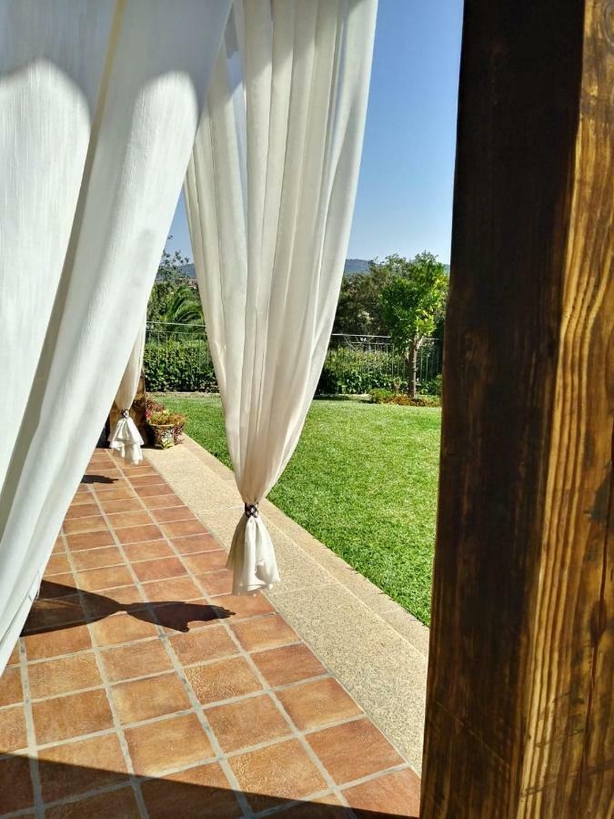 Jardin De La Yedra Guest House กาเซเรส ภายนอก รูปภาพ