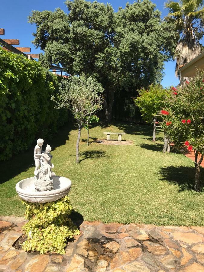 Jardin De La Yedra Guest House กาเซเรส ภายนอก รูปภาพ